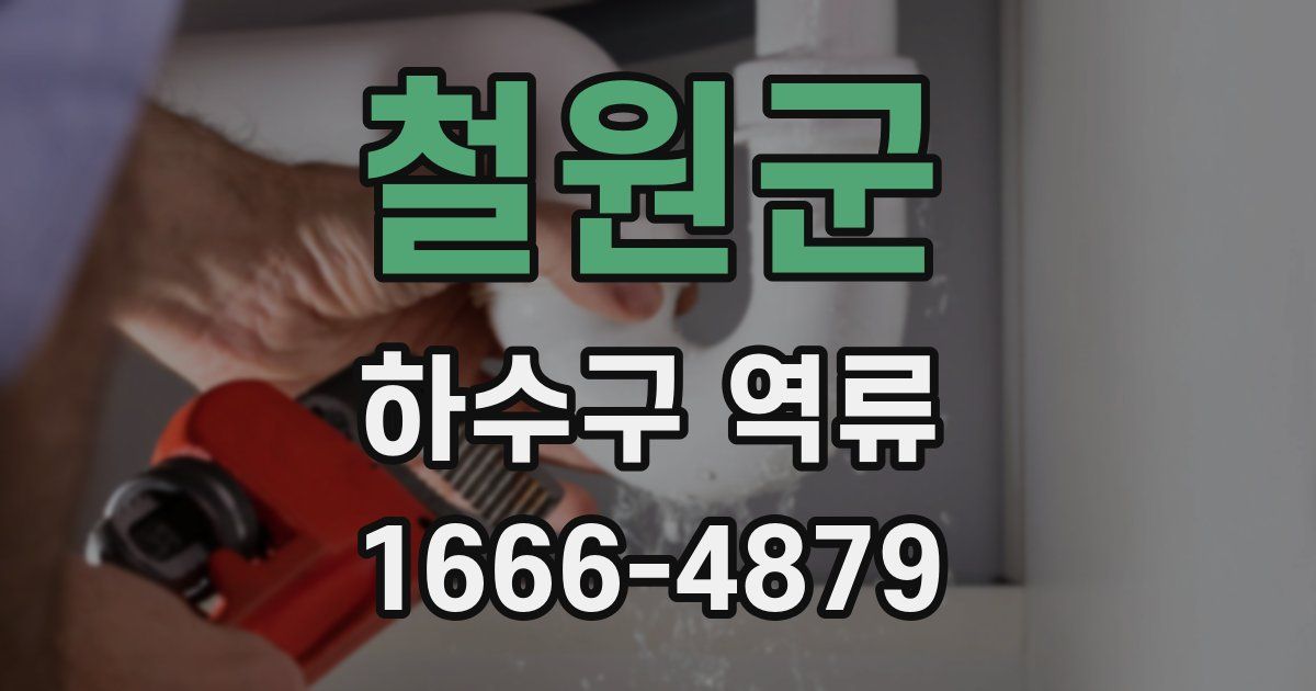 철원군 하수구 역류
