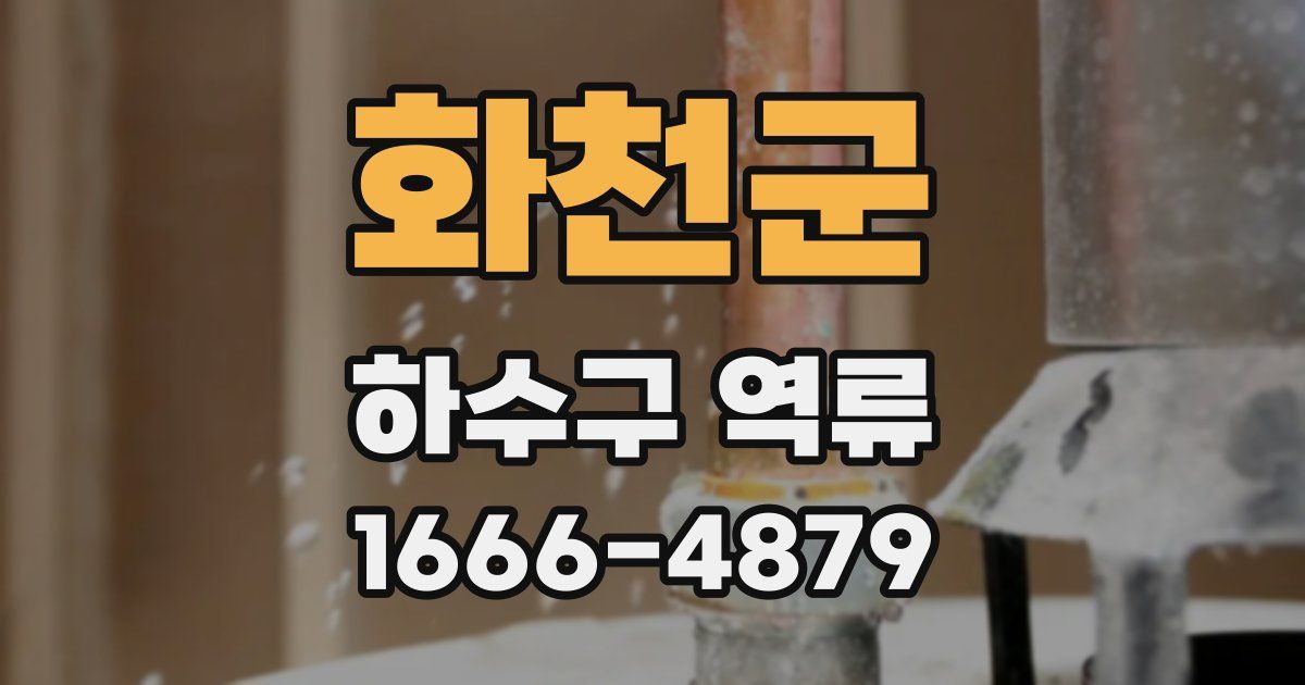 화천군 하수구 역류