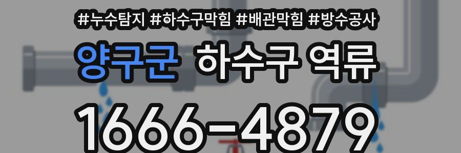 양구군 하수구 역류