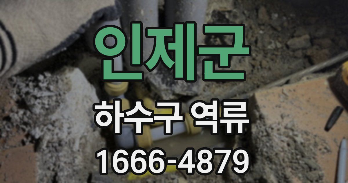 인제군 하수구 역류