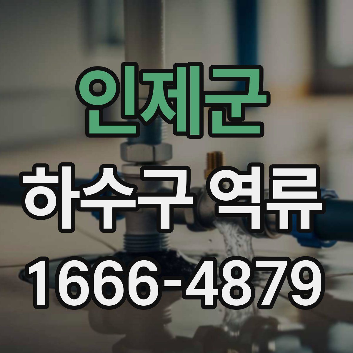 인제군 하수구 역류