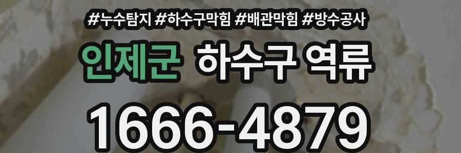 인제군 하수구 역류