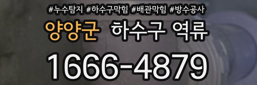 양양군 하수구 역류