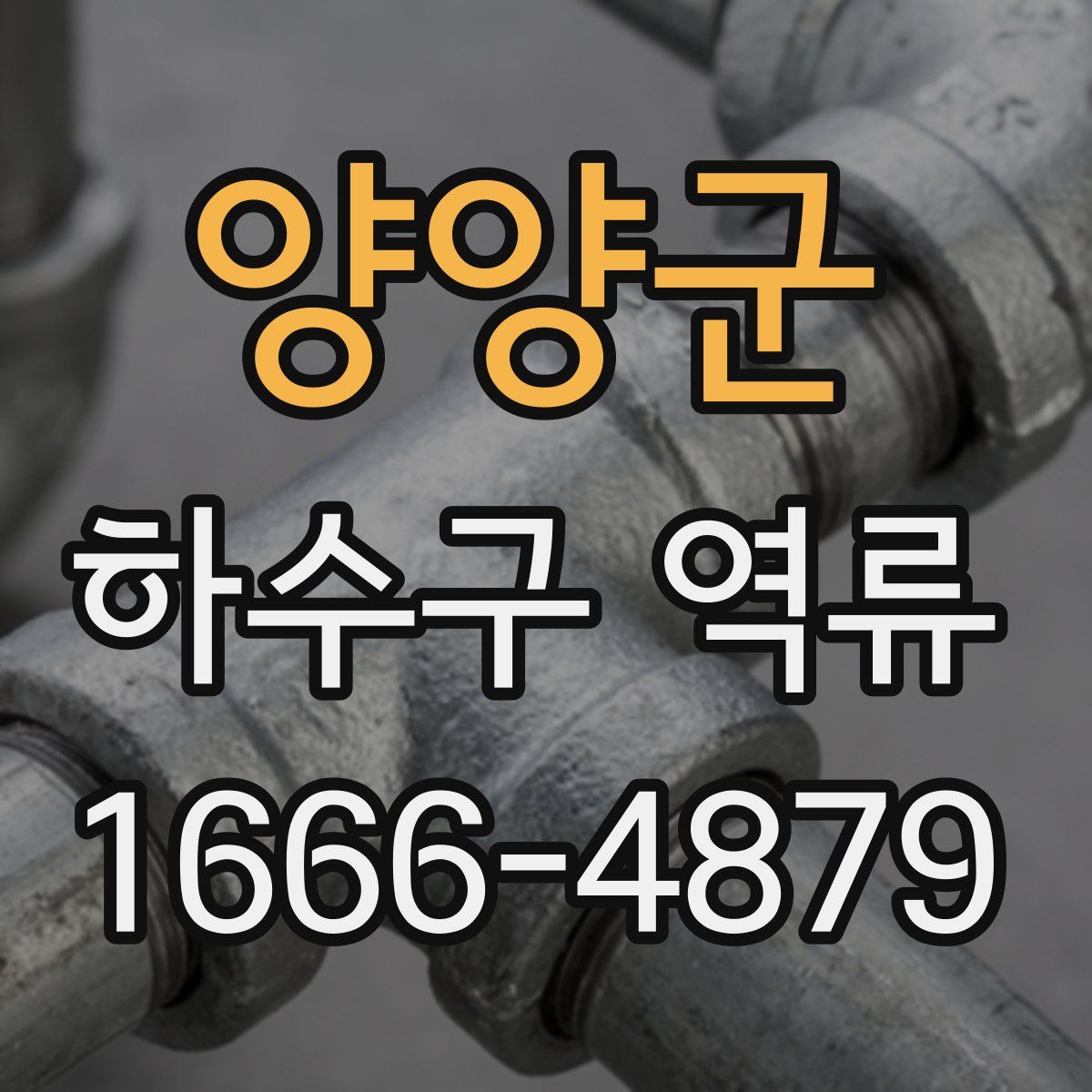 양양군 하수구 역류