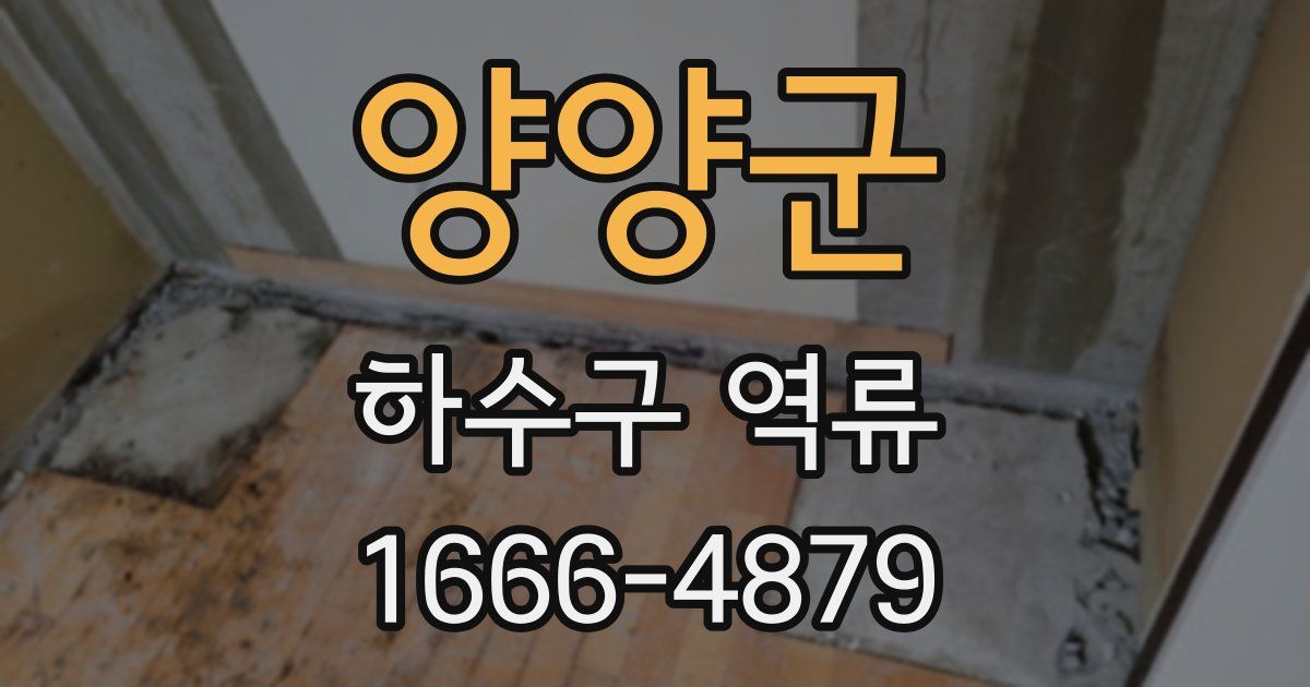 양양군 하수구 역류