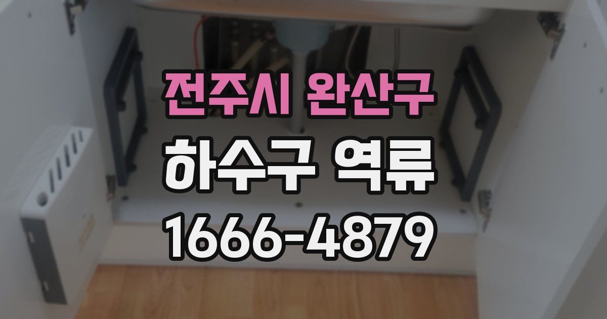 전주시 완산구 하수구 역류
