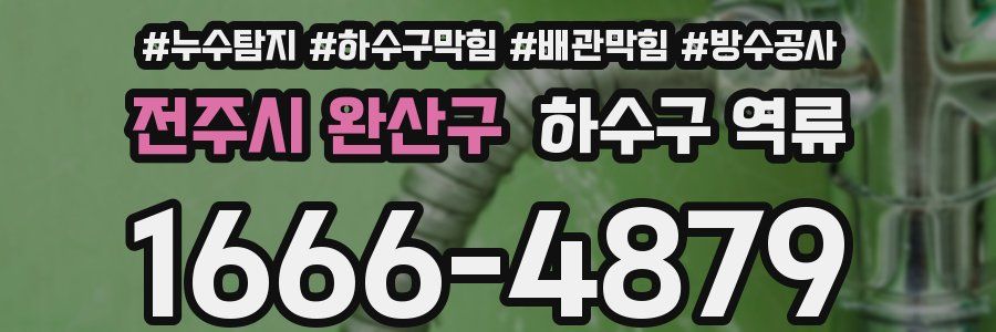 전주시 완산구 하수구 역류