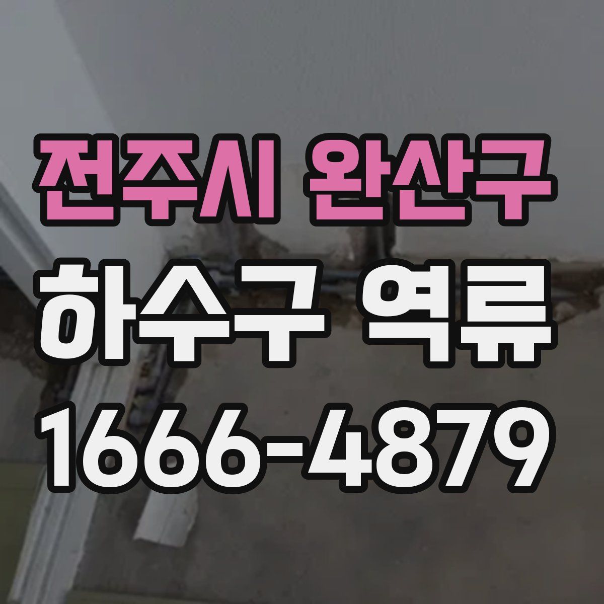 전주시 완산구 하수구 역류