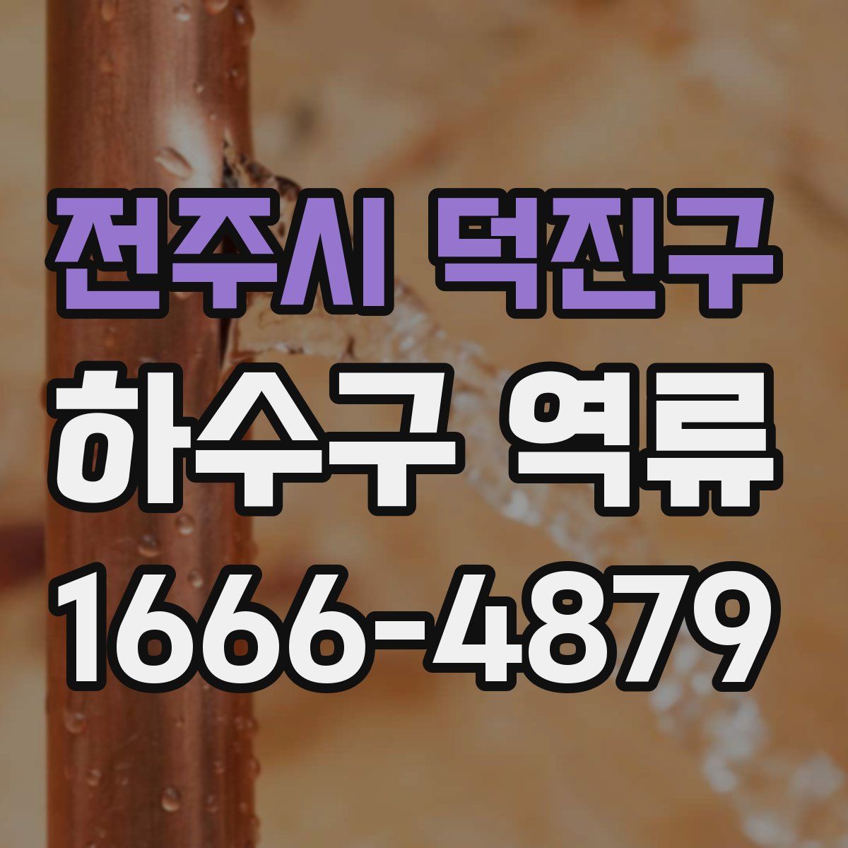 전주시 덕진구 하수구 역류
