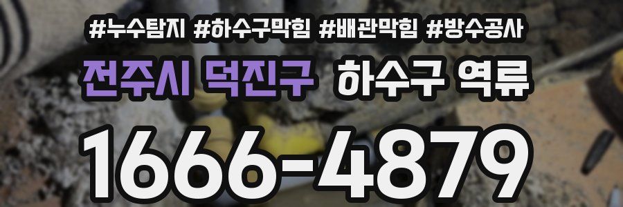 전주시 덕진구 하수구 역류