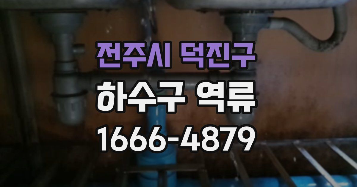 전주시 덕진구 하수구 역류