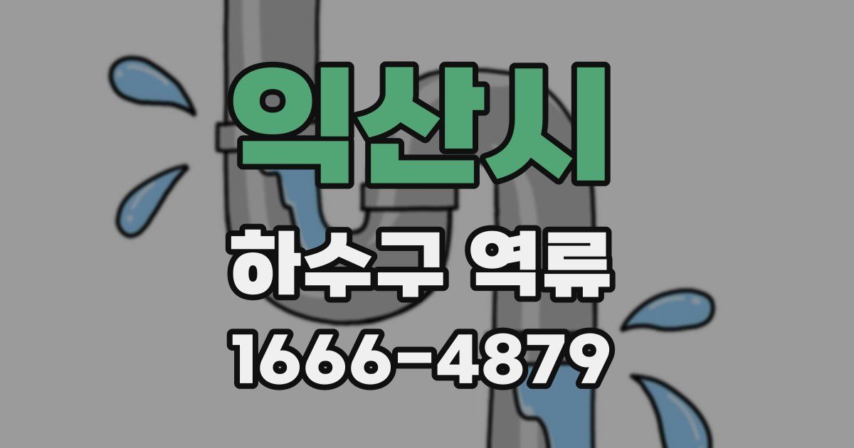 익산시 하수구 역류