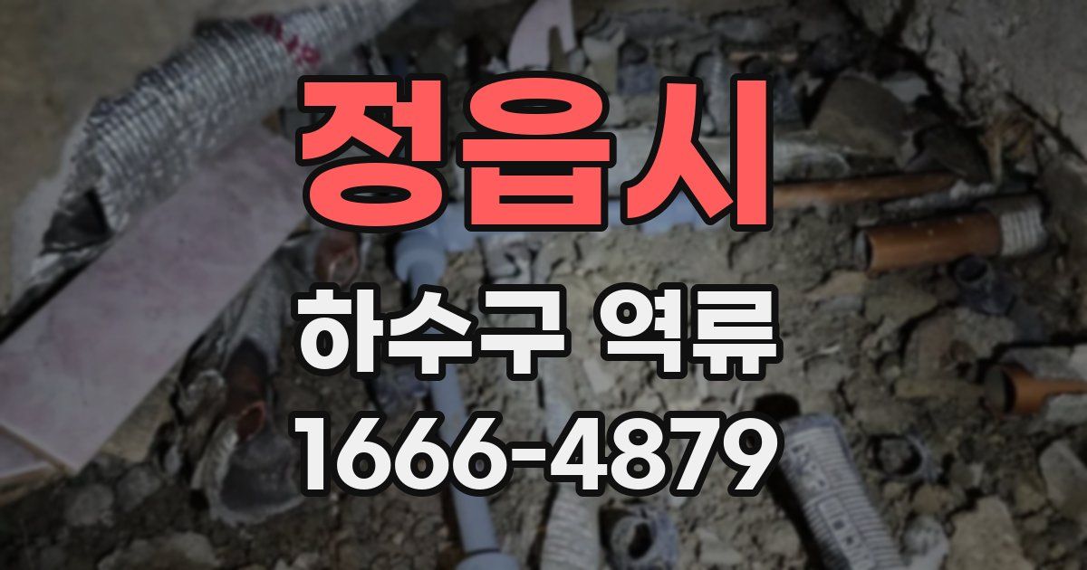 정읍시 하수구 역류