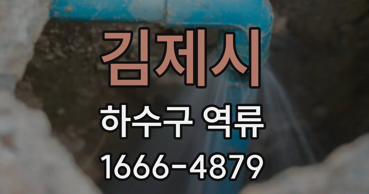 김제시 하수구 역류