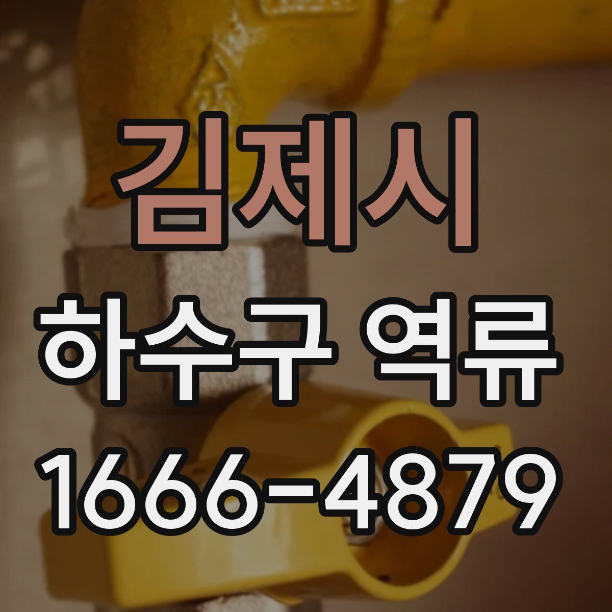 김제시 하수구 역류