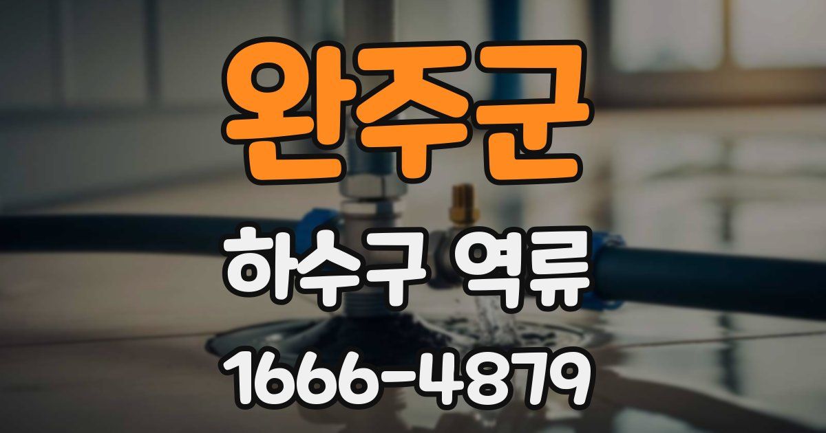 완주군 하수구 역류