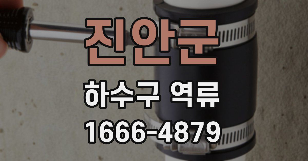진안군 하수구 역류