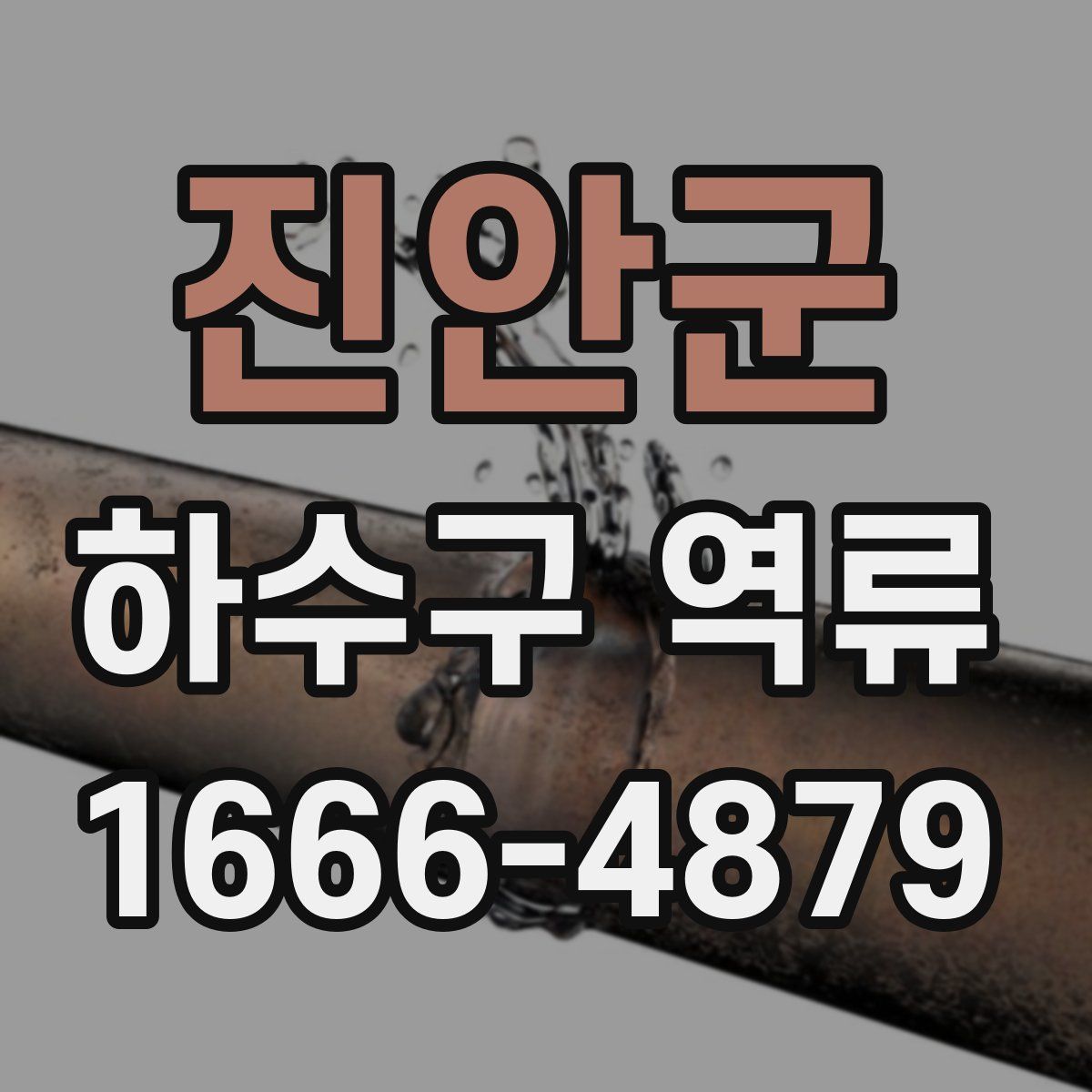 진안군 하수구 역류
