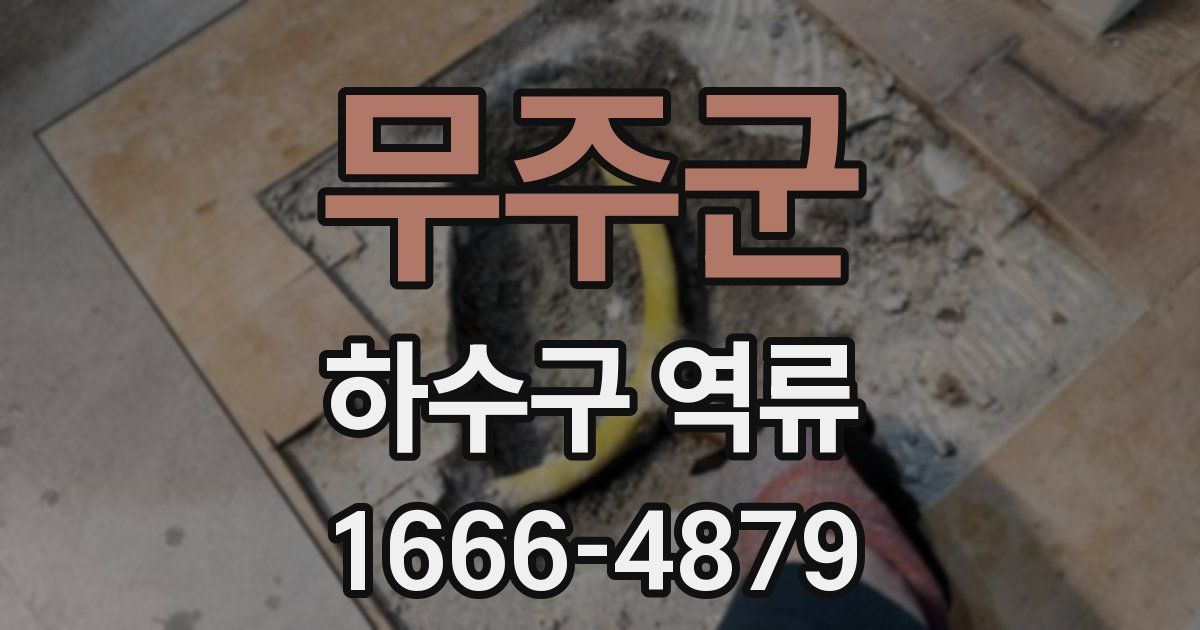 무주군 하수구 역류