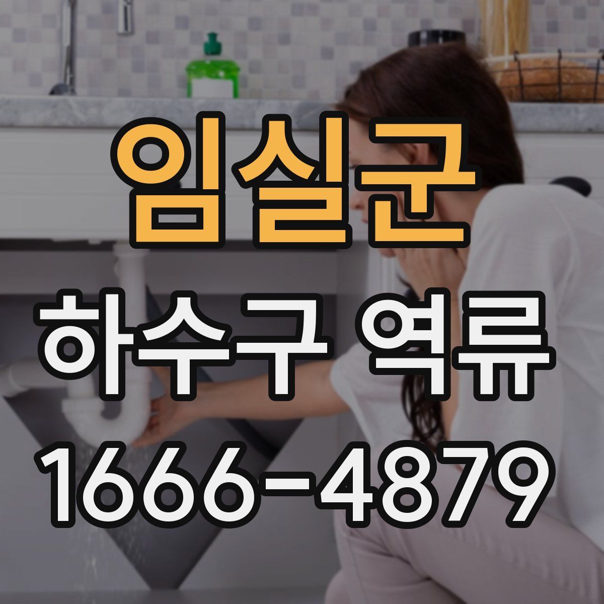 임실군 하수구 역류