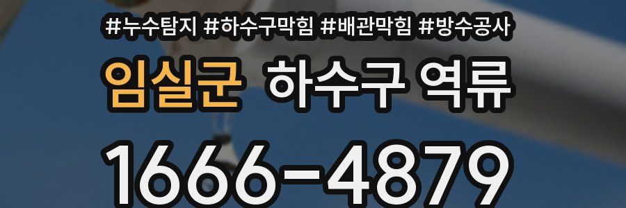 임실군 하수구 역류