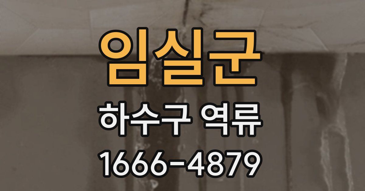 임실군 하수구 역류