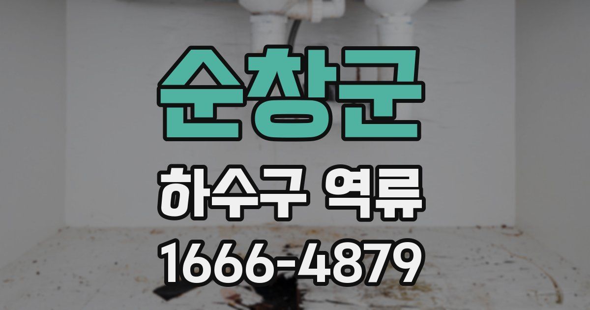 순창군 하수구 역류