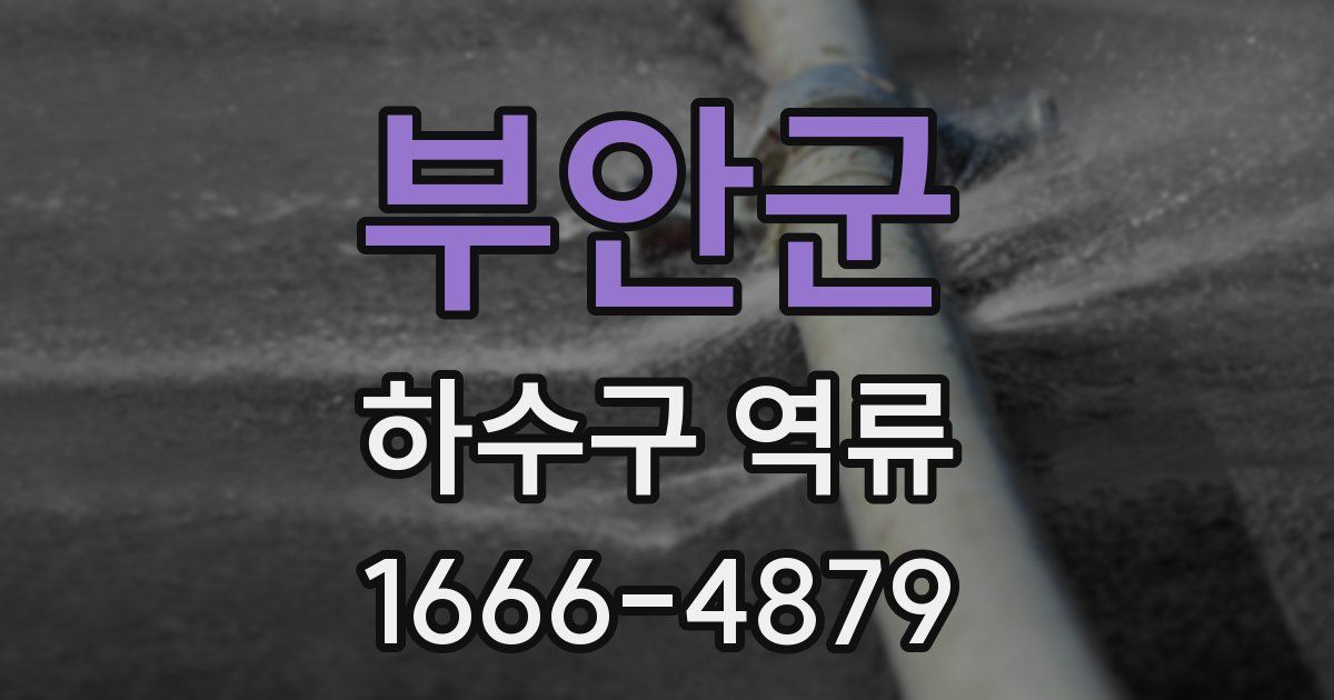 부안군 하수구 역류