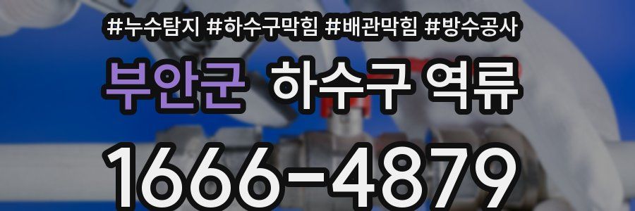 부안군 하수구 역류