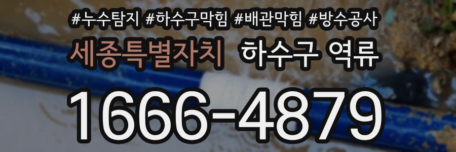 세종특별자치 하수구 역류