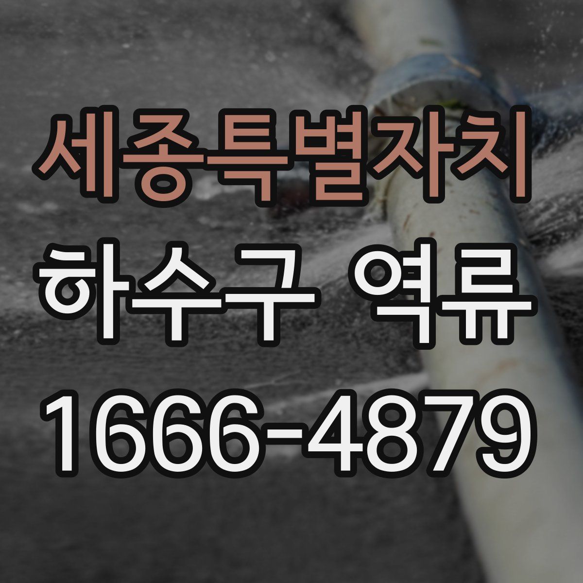 세종특별자치 하수구 역류