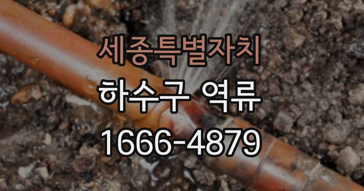 세종특별자치 하수구 역류