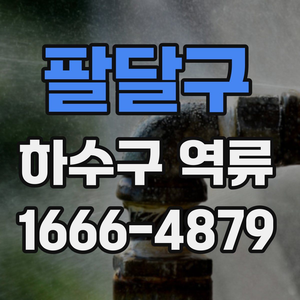 팔달구 하수구 역류