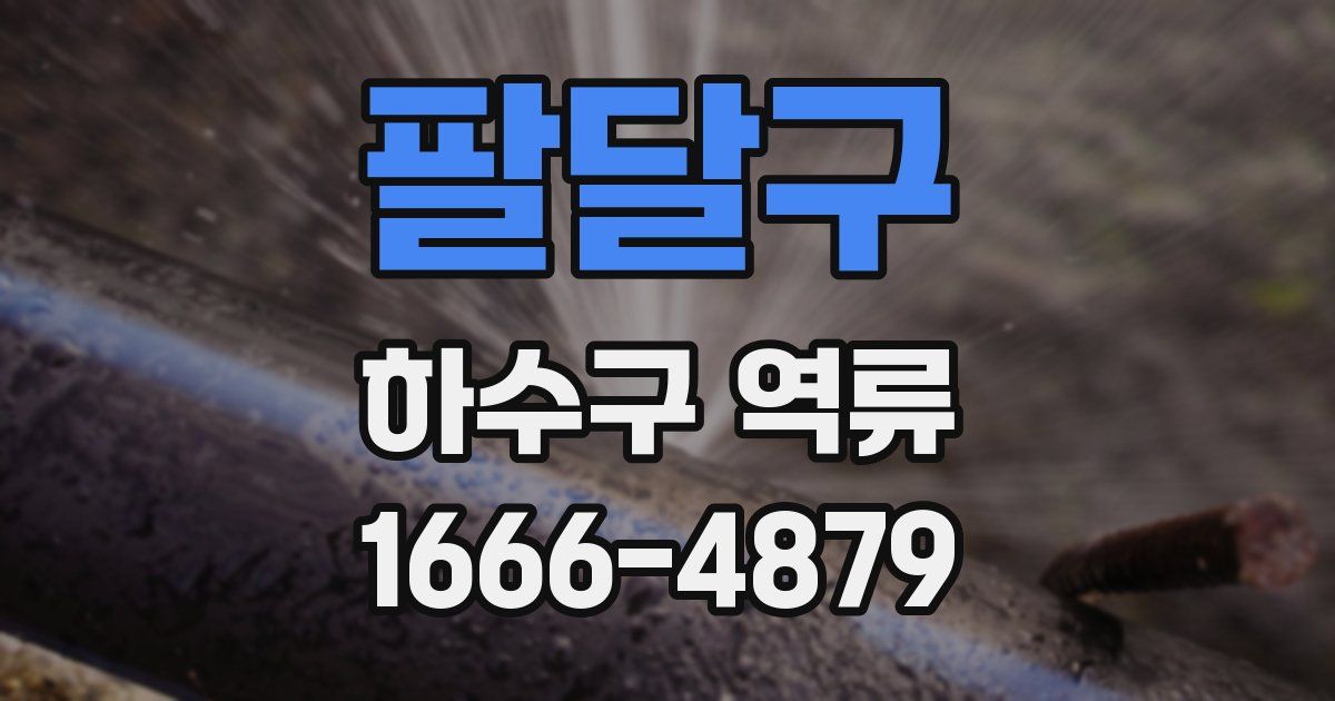 팔달구 하수구 역류