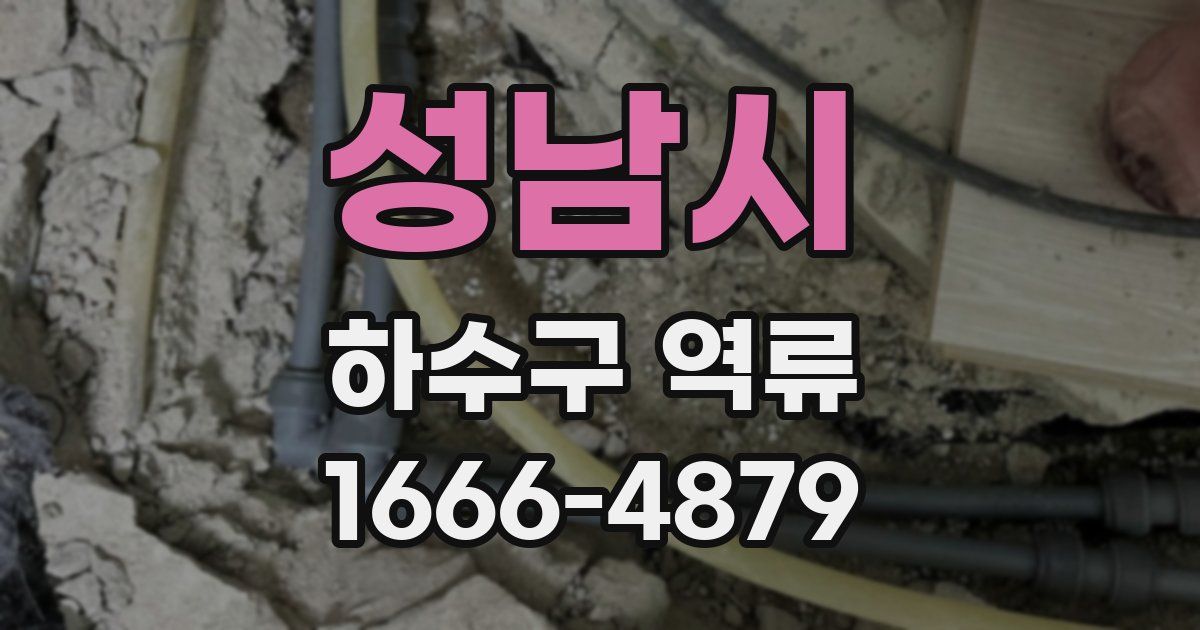 성남시 하수구 역류