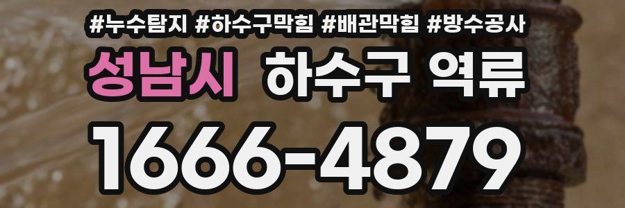 성남시 하수구 역류