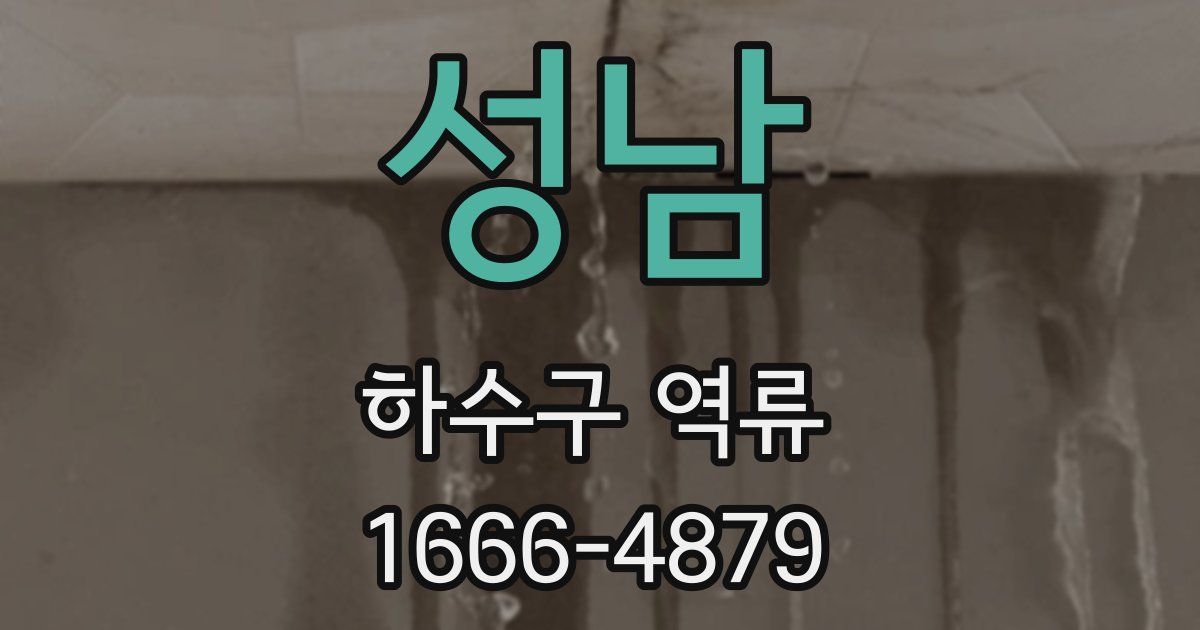 성남 하수구 역류