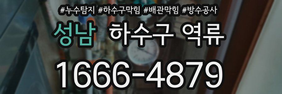 성남 하수구 역류
