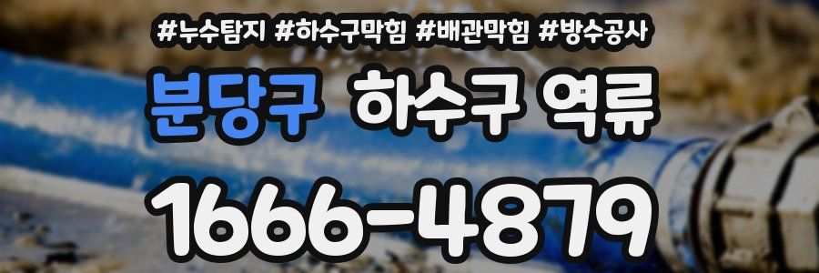 분당구 하수구 역류