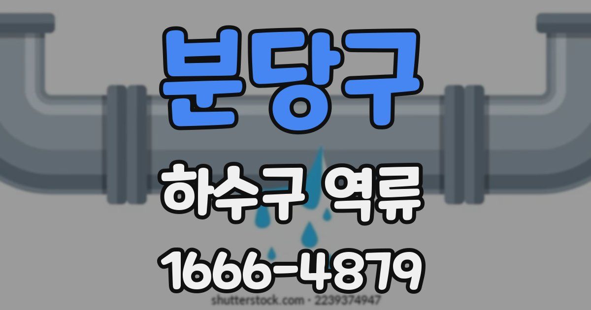분당구 하수구 역류