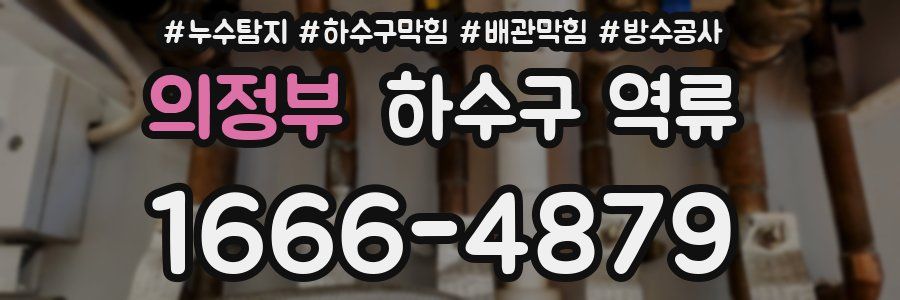 의정부 하수구 역류