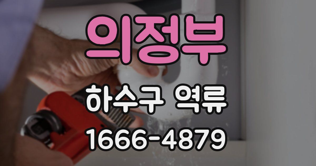 의정부 하수구 역류