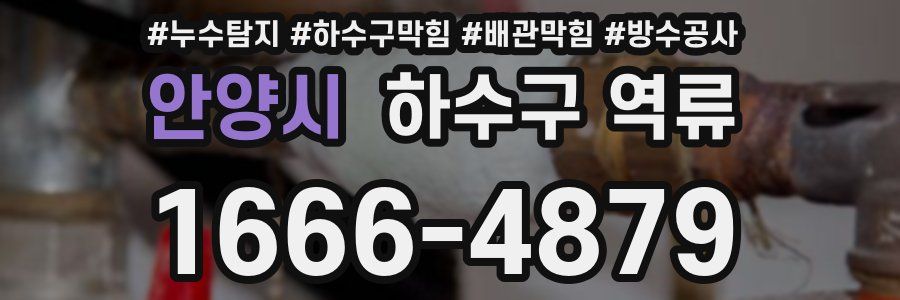 안양시 하수구 역류