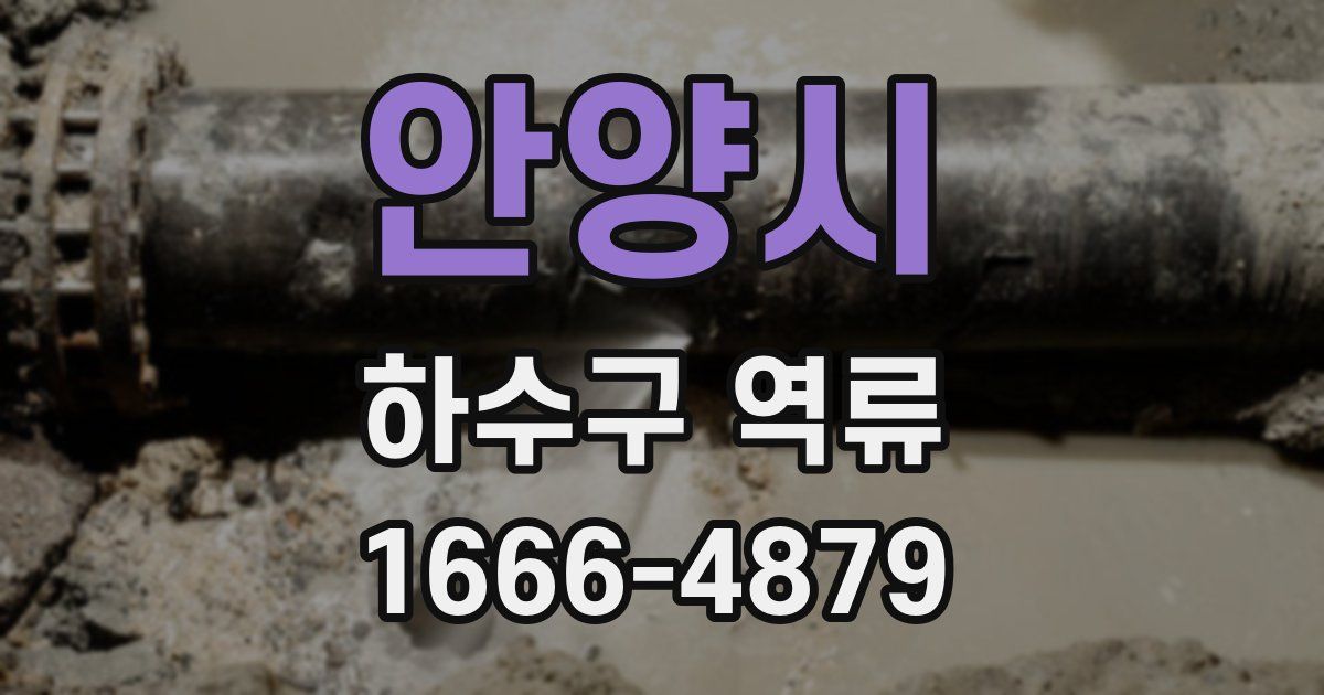 안양시 하수구 역류