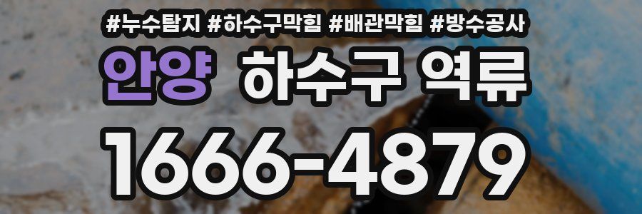 안양 하수구 역류