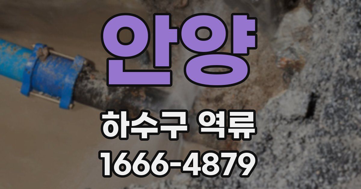 안양 하수구 역류