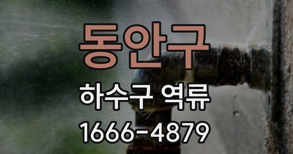 동안구 하수구 역류