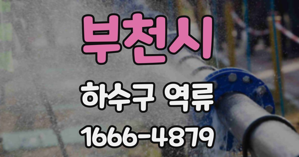 부천시 하수구 역류