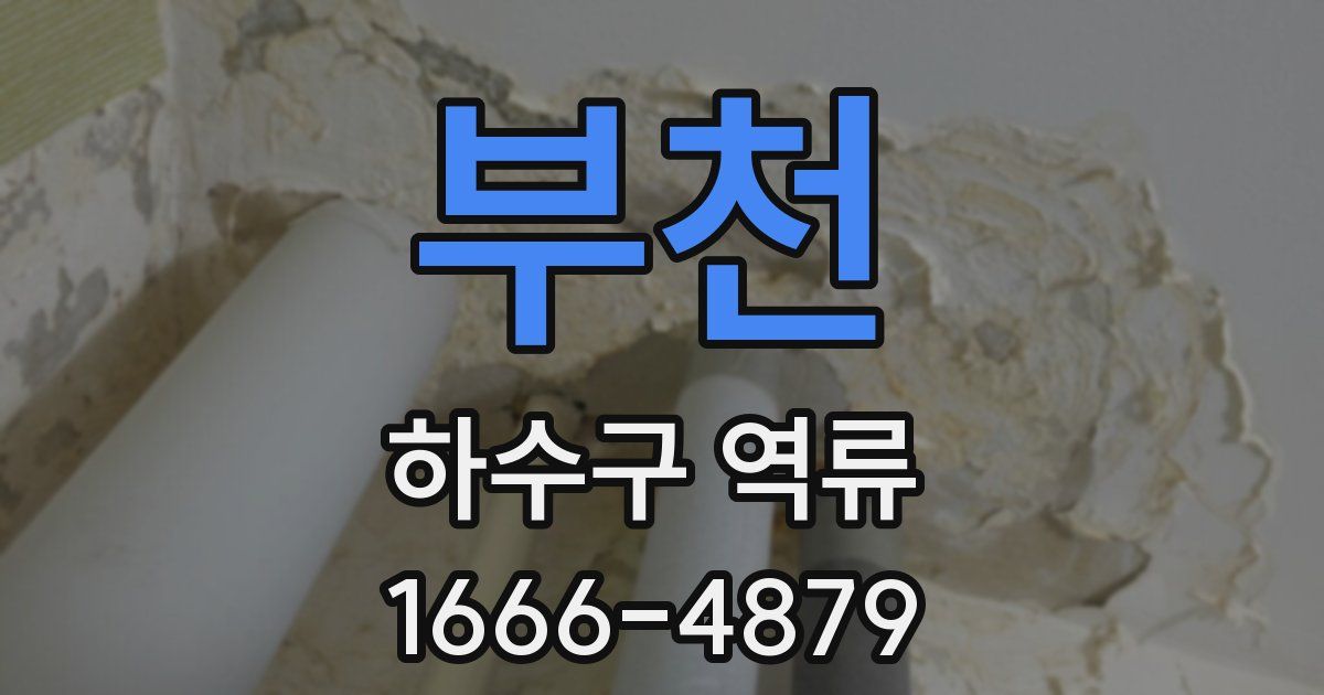 부천 하수구 역류
