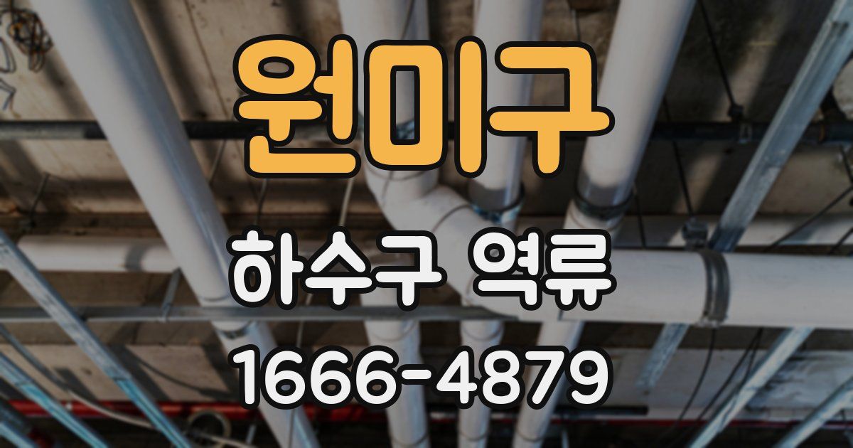 원미구 하수구 역류